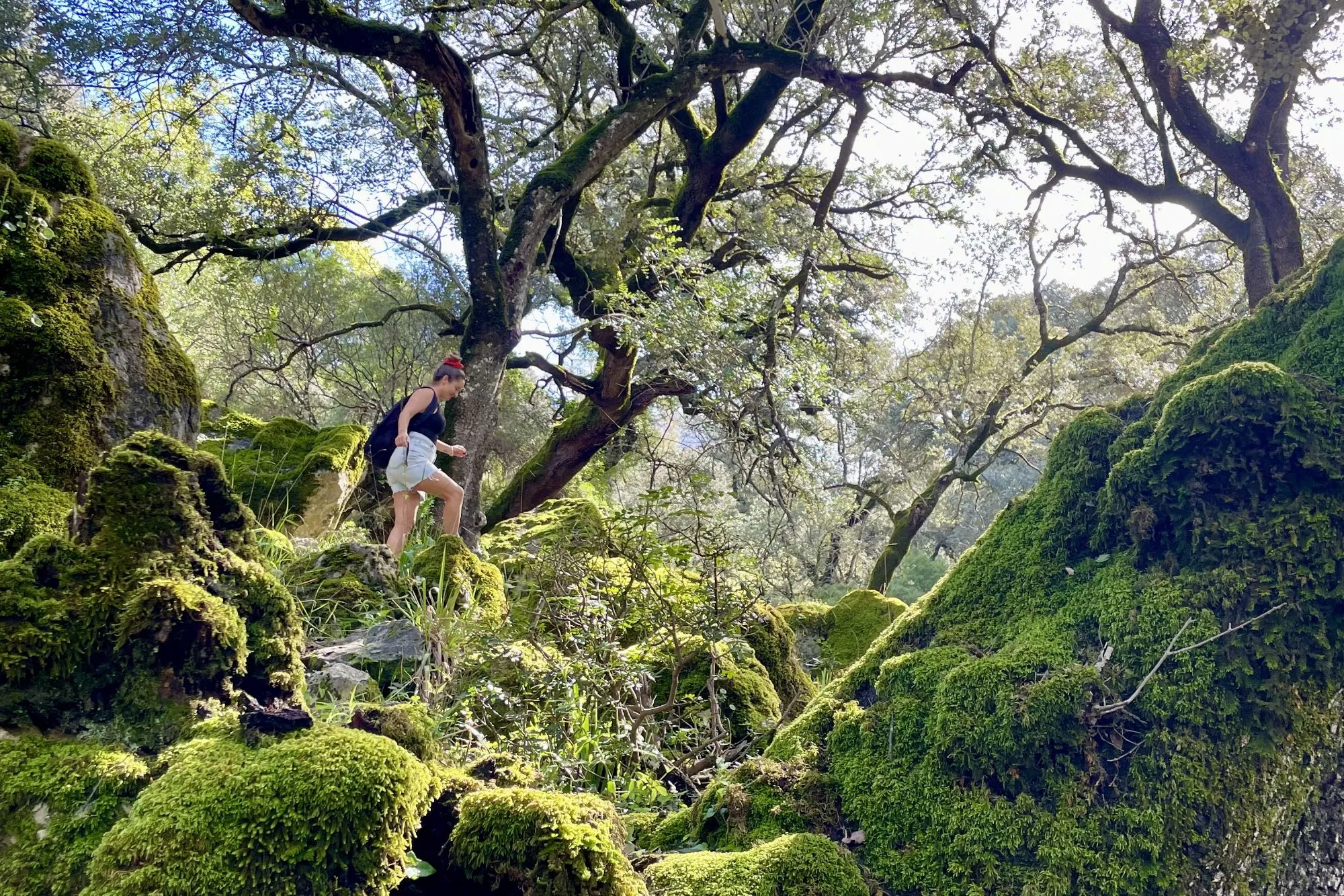 Photo from an Nature and Vitality retreat