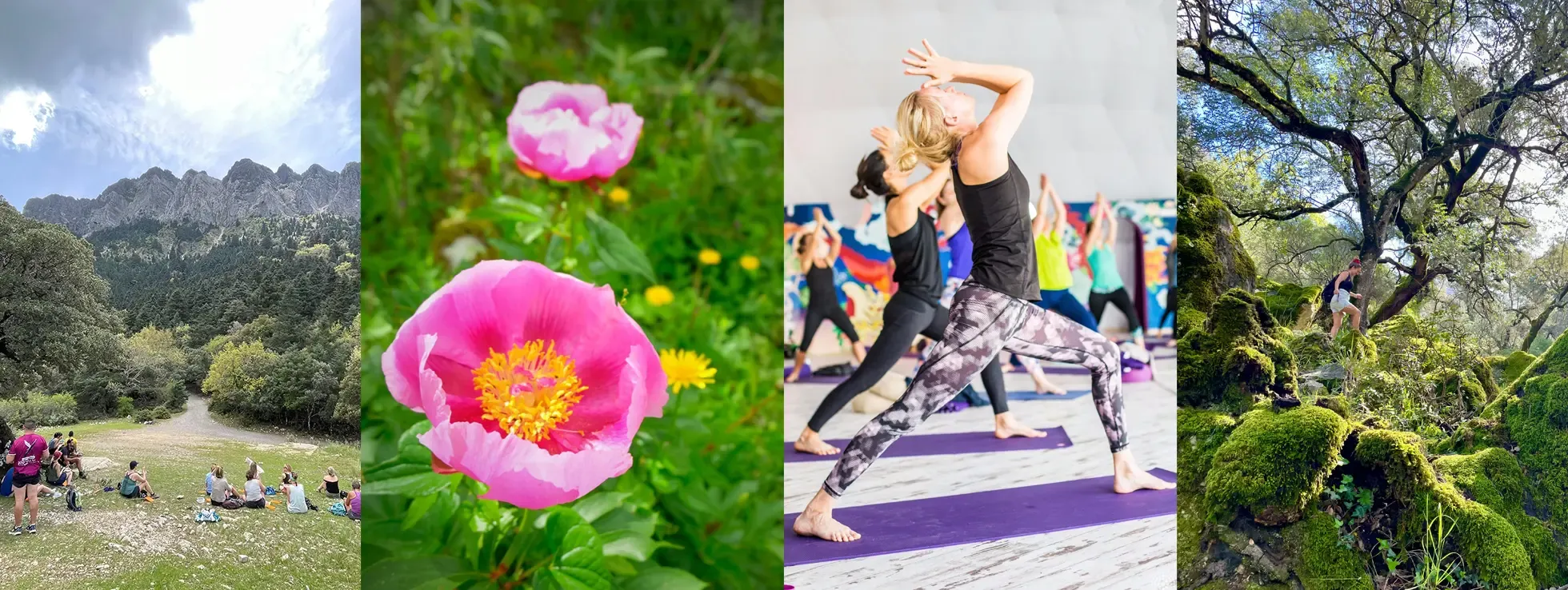 A collage of nature and yoga images
